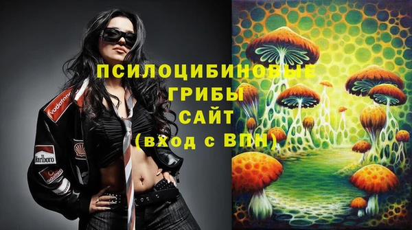 круглые Няндома