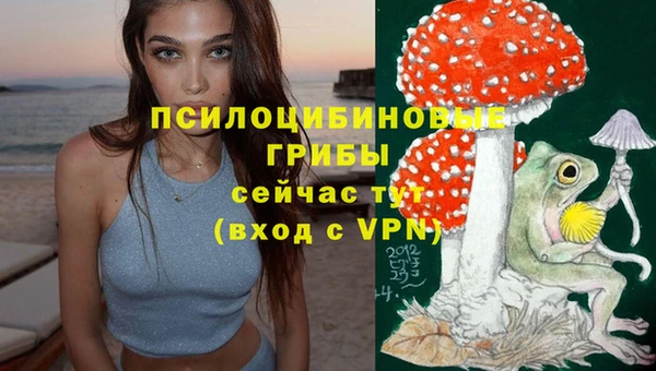 a pvp Каменка